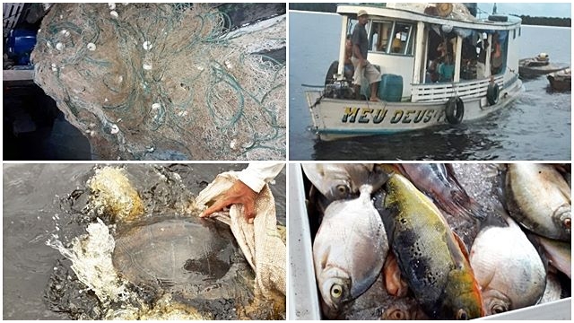 Semma apreende 400 kg de redes utilizadas na pesca predatória em Barcelos (AM)