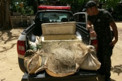 Semmac apreende pescado ilegal e redes em Fazenda na Serra do Facao-GO