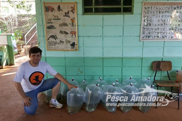 Sentinelas realizam soltura de 5.000 alevinos no Rio Mogi Guaçu – SP