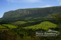 Serra da Canastra - Chapadao
