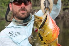 Snap um acessorio indispensavel na pesca com iscas artificiais 2