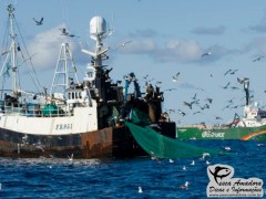 Sobrepesca - Barco em pesca de arrasto sendo observado pelo GreenPeace