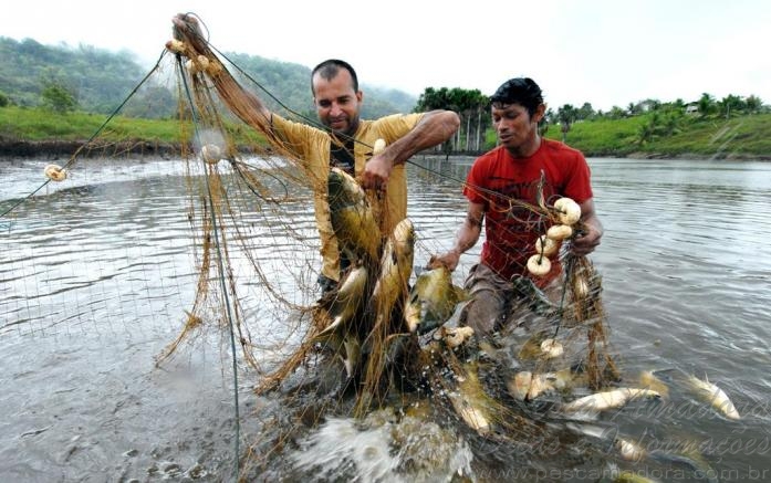 Amazonas é o 12º na produção de pescado em cativeiro