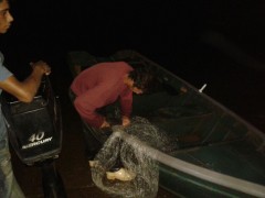 Tarrafa apreendida pelo IAP no Parana