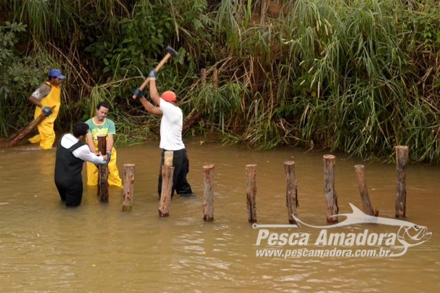 Técnica usada pela 1ª vez no Brasil aumenta em 80% quantidade de peixes no ES