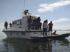 Tecnicos investigam morte de peixes na baia de guanabara no RJ