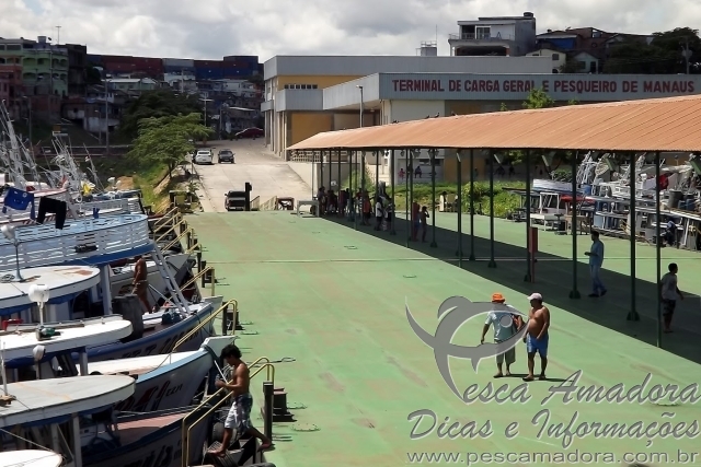 Terminal Pesqueiro de Manaus é prioridade para o MPA