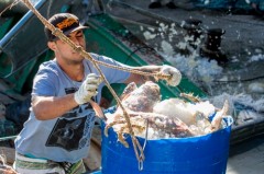 Trabalhador de cooperativa descarregando pescado