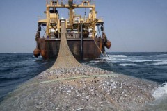 Tratado mundial contra pesca ilegal entra em vigor 2