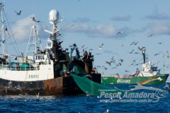 Tratado mundial contra pesca ilegal entra em vigor