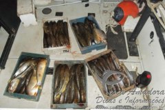 Tres Argentinos sao presos por pesca ilegal no Uruguay