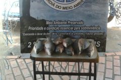 Tres adolescentes sao apreendidos por pesca predatoria no Rio Miranda em MS 1