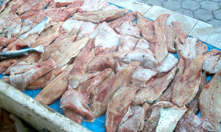PMA apreende 403 quilos de peixe e multa pescador em mais de R$ 8 mil no MS