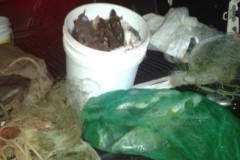 Trio e autuado por pesca ilegal no Rio Mogi Guacu-SP