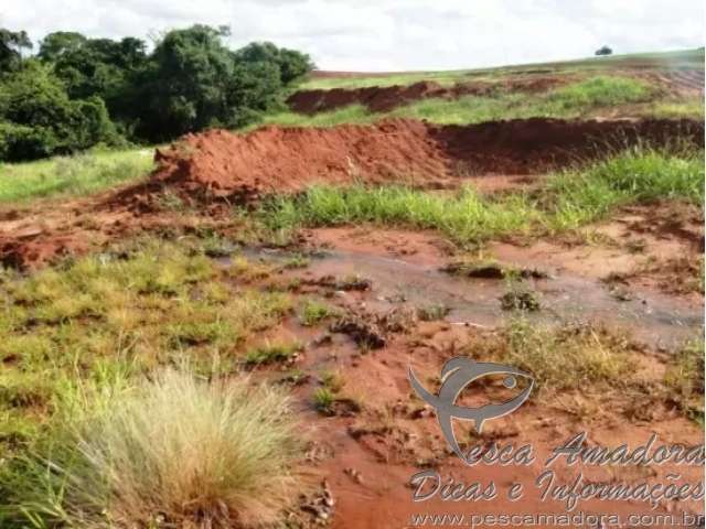 PMA autua Usina em R$ 100 mil por destruir mata ciliar e nascentes para plantio de cana no MS