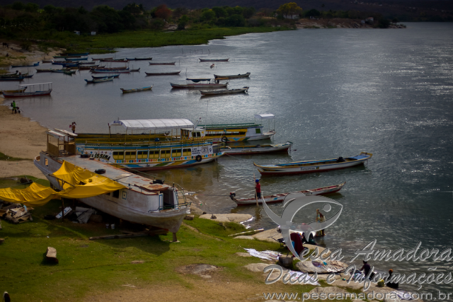 Engenheira diz que vazão do Rio São Francisco vai diminuir a partir de Sobradinho-BA