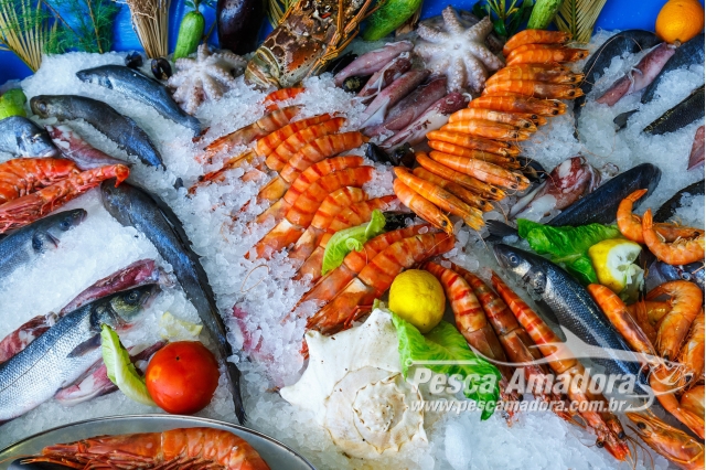 Walmart cria programa que reduz o impacto socioambiental de pesca