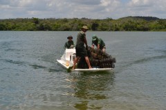 agentes do ibama trazendo materias de pesca irregular