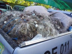 Apreensao de 60kg de lagosta em mandau-ce