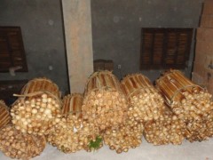 Palmito apreendido era armazenado no chão da garagem antes do envasamento (Foto: Divulgação Patram-RS)