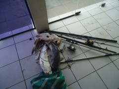 Dois foram preso e o material e peixes apreendidos no rio tramandai no RS (Foto Divulgação: Patram)