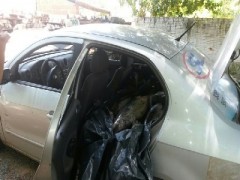 Os peixes eram transportados no bande de traz do veículo (Foto divulgação: PM-MT)