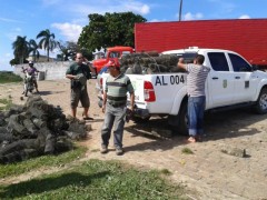 apreensao do imaba no baix sao francisco