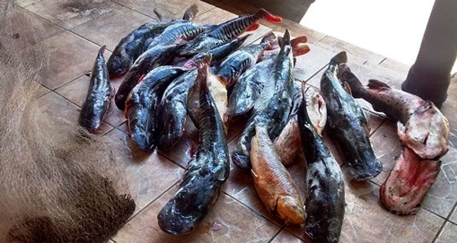 PMA apreende pescado e aplica mais de 33 mil em multas durante piracema no MS