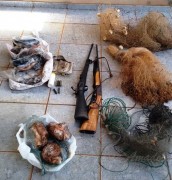 apreensao em Cassilandia MS