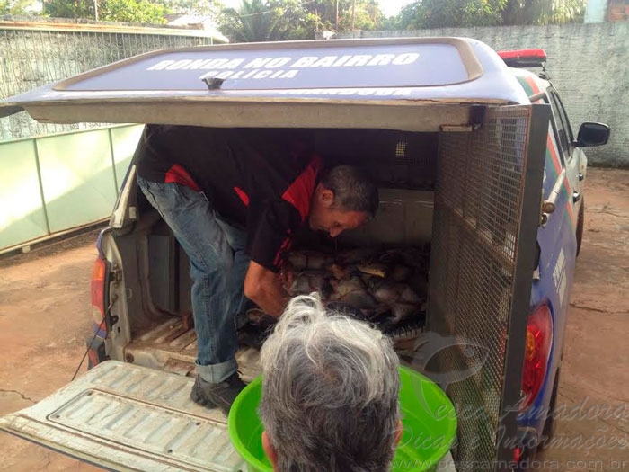 Mais de 200 peixes são apreendidos em feira de Iranduba-AM