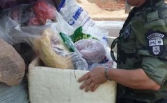 Mais de 3.500 metros de rede para pesca foram apreendidos com empresário