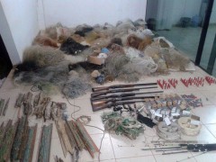 Apreensao realizada pela PMA em Nova Mutum (Foto: Ana Paula Dias)