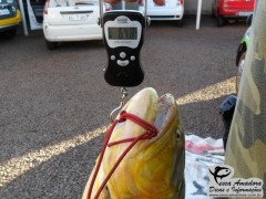 Policia ambiental do Paraná, faz apreensão e prende pescadores em Formosa do Oeste