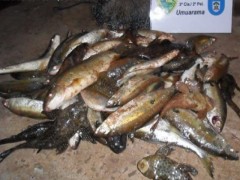 apreensao no Rio Piquiri-PR