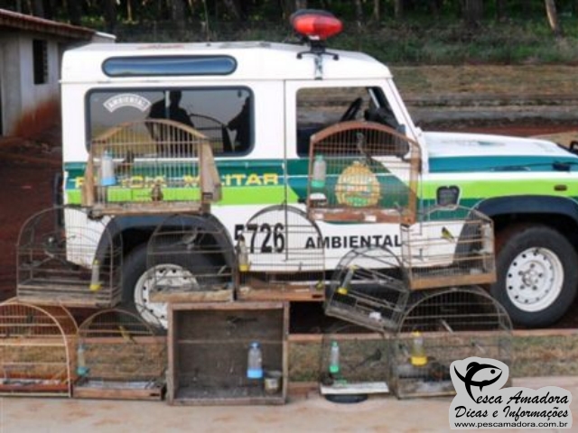 Aves, armas e material de caça e pesca predatória são apreendidas pela PM Ambiental em Uraí e Assaí