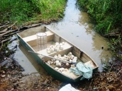 apreensao no vale do aco em MG