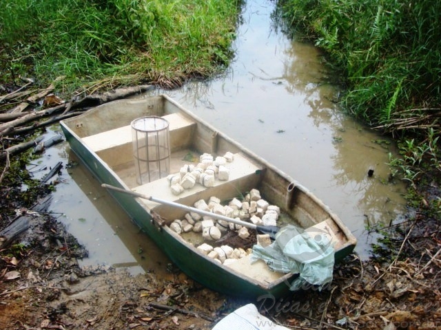 PMA realizou apreensões durante operação piracema no Vale do Aço em MG