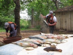 Redes com 331 metros de comprimento estavam com pescador (Foto: Polícia Ambiental de Ourinhos)