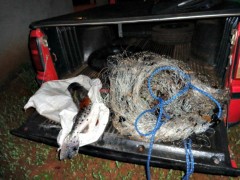 apreensao pma pesca predatoria em ms