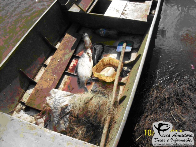 Pesca predatória é fiscalizada pelo IAP nos rios Ivai e Paraná