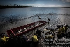 aquicultura em Sorriso-MT 2