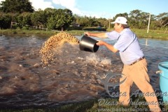 aquicultura em Sorriso-MT 3
