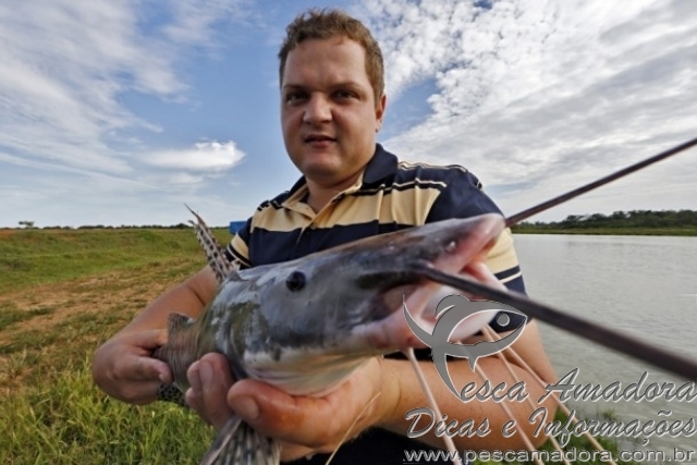 Capital da soja, a cidade de Sorriso no MT é  líder também na piscicultura