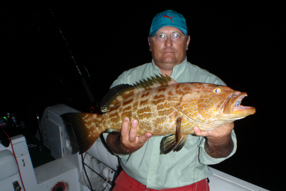 Principais famílias capturadas nos torneios de pesca nas praias do Olho