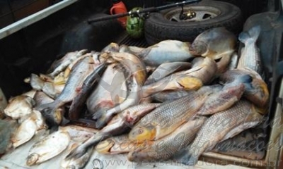 PMA divulga balanço dos últimos dois meses da Operação no MS