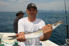 bicuda-mar