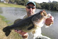 black-bass