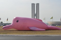 boto inflavel no congresso nacional