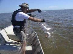 brigada militar apreende redes e pescado no RS 2