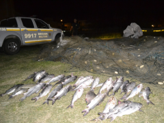 brigada militar apreende redes e pescado no RS